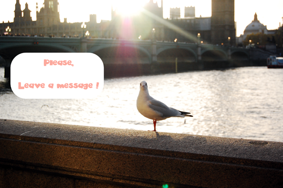 mouette_londres