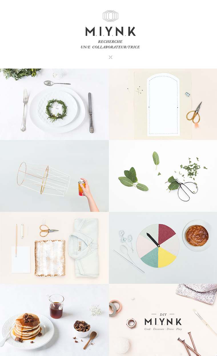 MIYNK the first DIY app for iPad