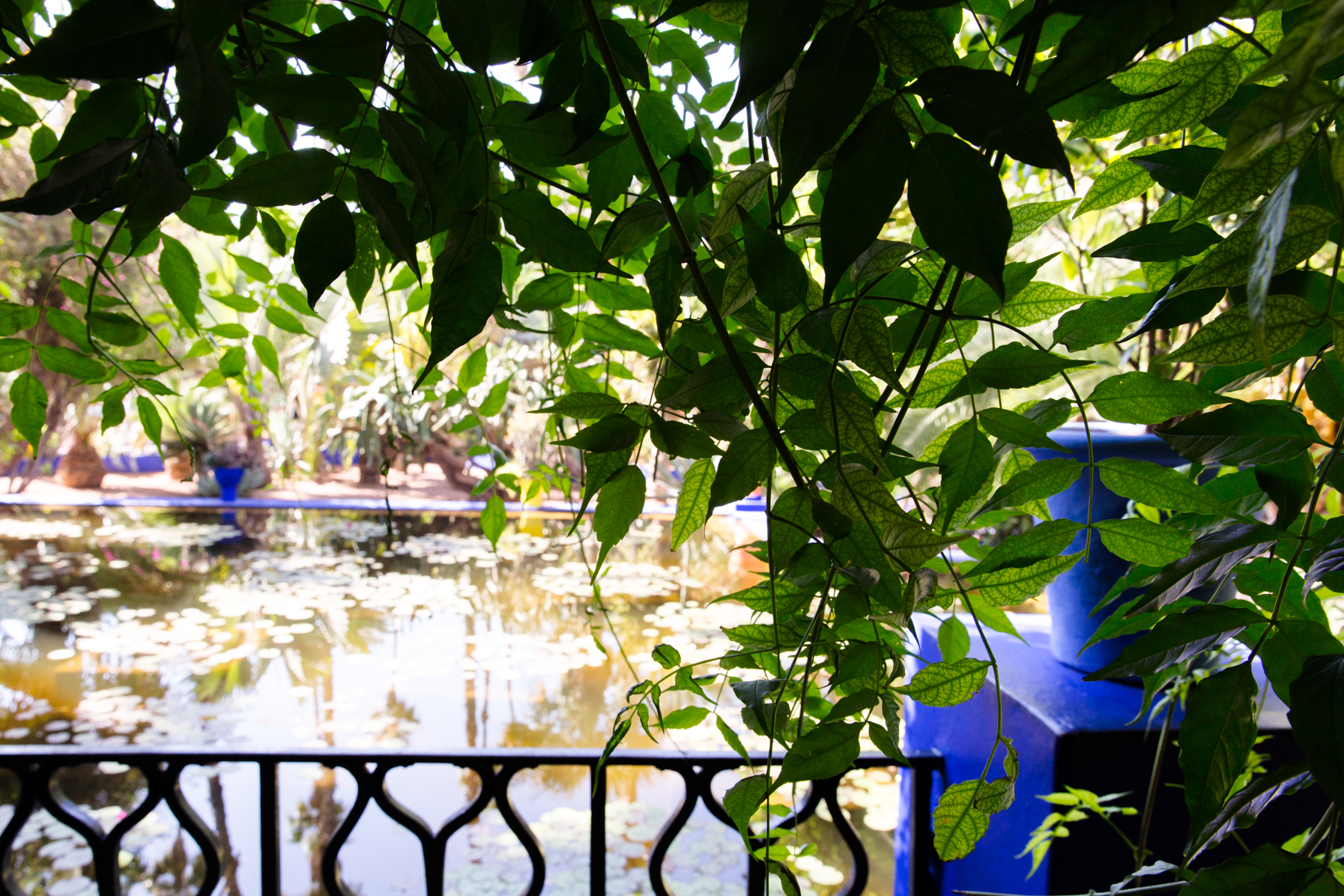 Trip Marrakech Jardin Majorelle - Carnets Parisiens